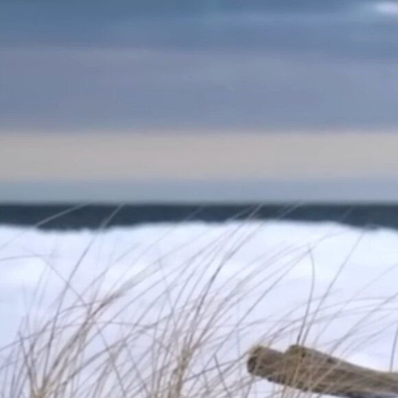 Meet your Posher - Picture 1 of 1